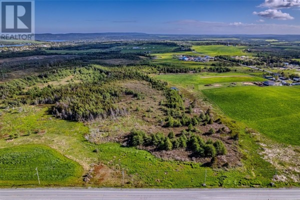 97 Ruby Line, St  John S, NL, photo 2