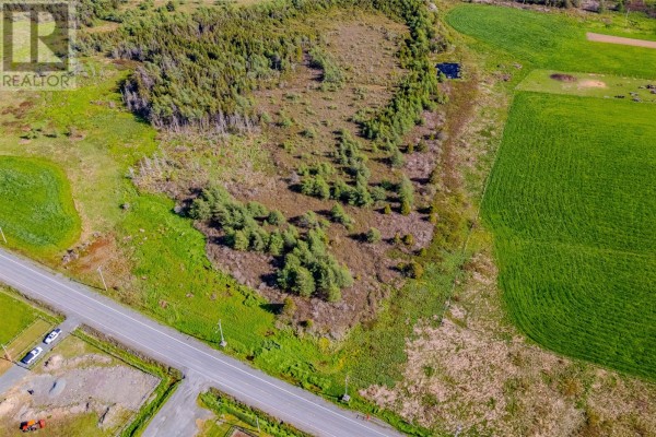 97 Ruby Line, St  John S, NL, photo 3