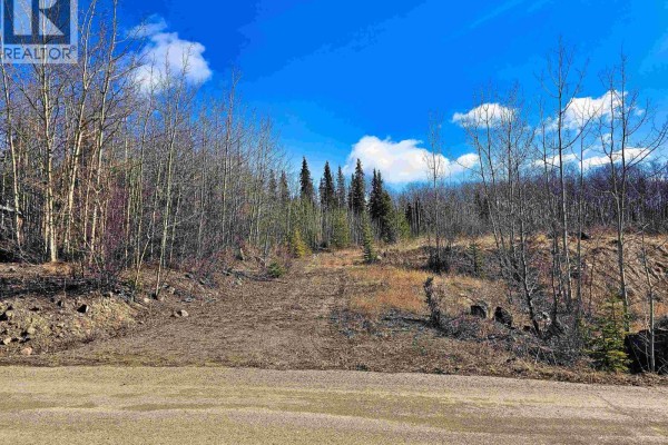 970 Nash Road, Burns Lake, BC V0J1E0 Photo 4