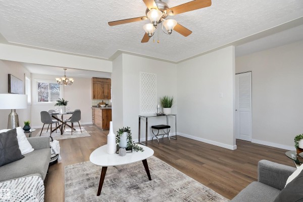 Living room and dining area with grey sofas, a dining table, and wood flooring. - 9747 66 Av Nw, Edmonton