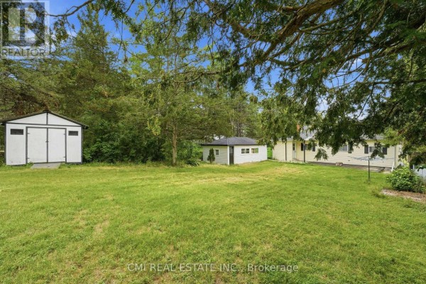 Backyard with sheds, trees, and lawn - 977 County Rd 38 Trent Hills