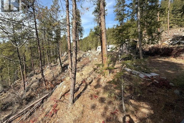 Wooded slope with trees, rocks, and a small RV and cabin. - 9779 3a Highway, Kuskanook