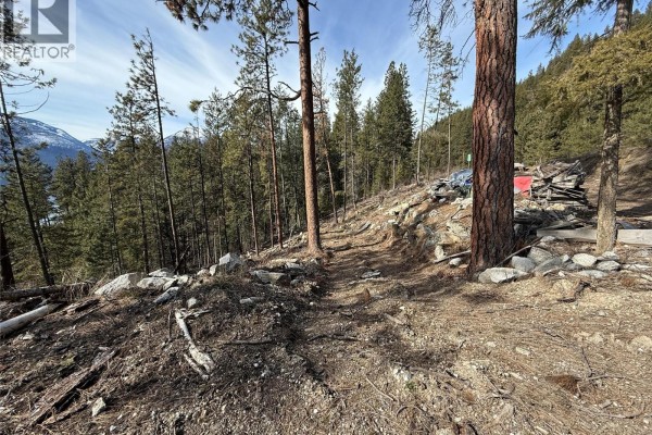 A dirt path winds through a wooded, rocky hillside with scattered debris. - 9779 3a Highway Unit# B, Kuskanook