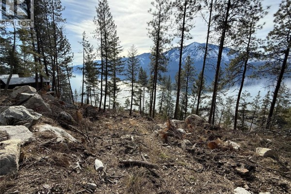 View down a wooded slope towards a lake and distant snow-covered mountains. - 9779 3a Highway Unit# B, Kuskanook