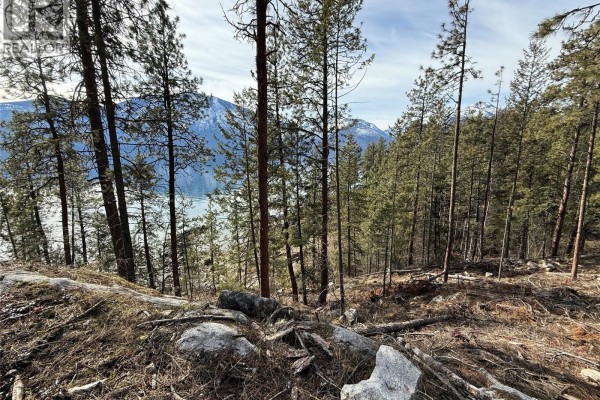 Looking through pine trees towards a lake and mountains, with a rocky, undeveloped foreground. - 9779 3a Highway Unit# C, Kuskanook