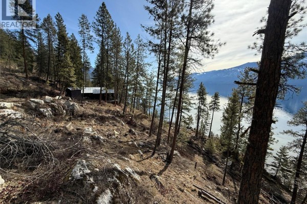 A cabin structure sits on a rocky, wooded slope overlooking a lake and distant mountains. - 9779 3a Highway Unit# C, Kuskanook