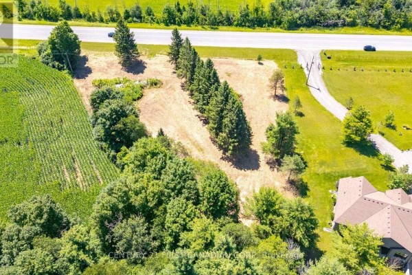 Aerial perspective of a property lot with mature trees, bordering a cornfield and a two-lane highway. - 978 Highway 8 Highway, Hamilton