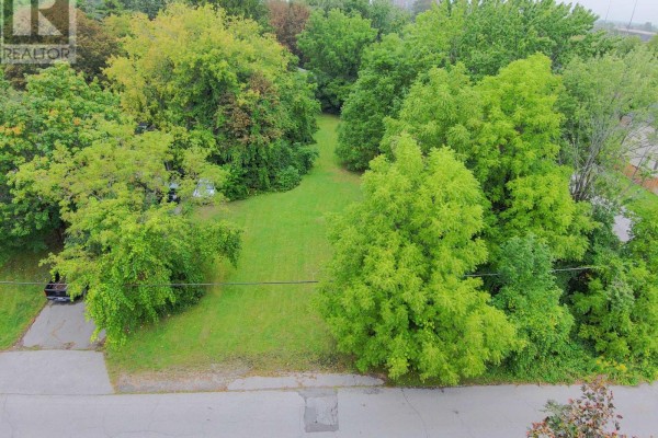 98 Euclid Avenue, Toronto, ON M1C1J9 Photo 4