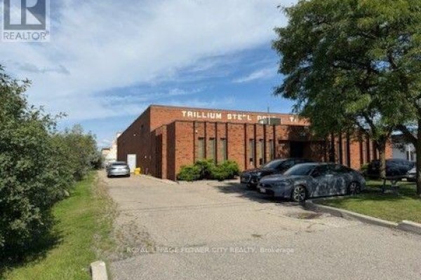 98 Stafford Drive, Brampton, ON L6W1L4 Photo 4