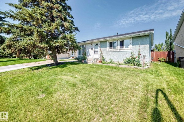 Exterior view of a light blue stucco bungalow with a large front lawn and tree. - 9824 171 Av Nw, Edmonton