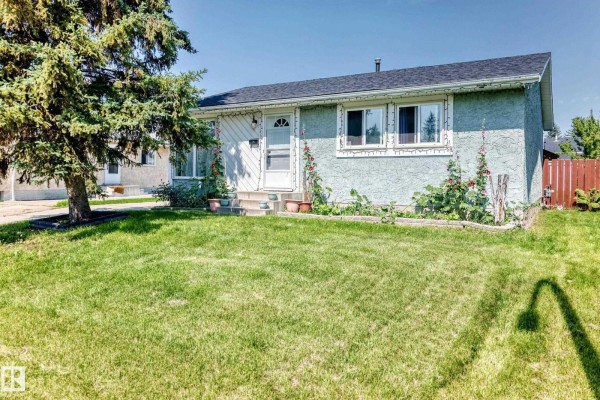 View of the light blue stucco bungalow from the sidewalk, showing the front lawn and tree. - 9824 171 Av Nw, Edmonton