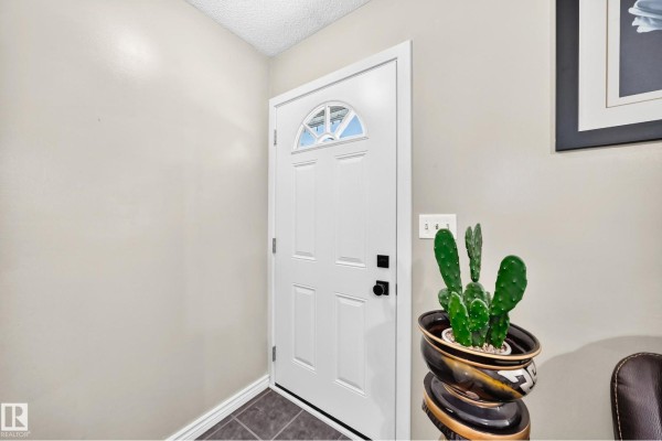Interior view of a white front door with a frosted glass insert, next to a potted cactus. - 9824 171 Av Nw, Edmonton