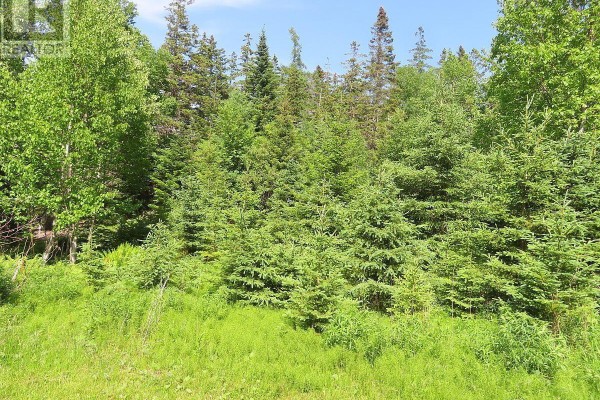 99-5 72 Naturer Dream P Boulevard, Roberta, NS B0E3B0 Photo 2