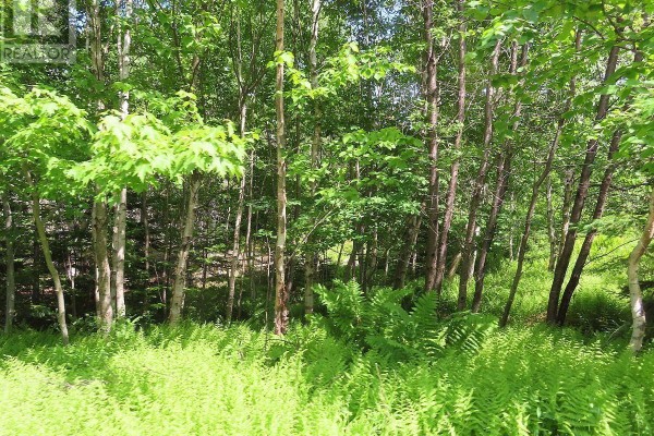 99-5 72 Naturer Dream P Boulevard, Roberta, NS B0E3B0 Photo 3