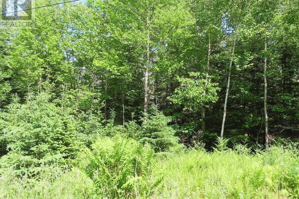 99-5 72 Naturer Dream P Boulevard, Roberta, NS B0E3B0 Photo 4