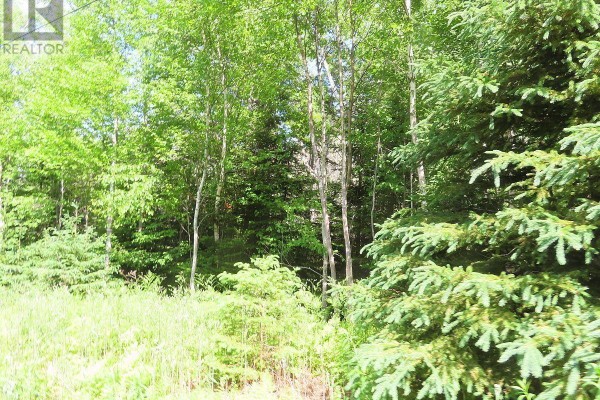 99-5 72 Naturer Dream P Boulevard, Roberta, NS B0E3B0 Photo 5