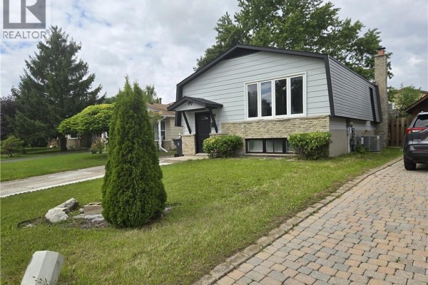 Kitchen - 99 Cluthe Crescent, Kitchener, ON N2P1N1 Photo 4