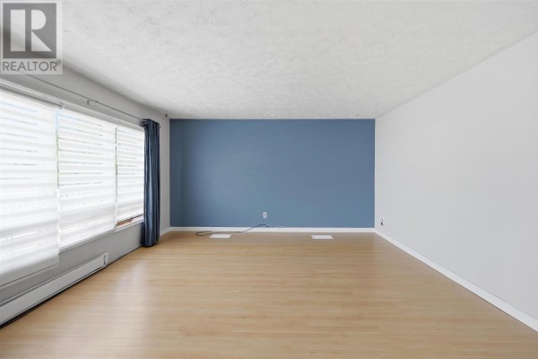 Living room with light wood laminate flooring, white ceiling, and a blue accent wall. - 99 Findlay Rd E, Echo Bay
