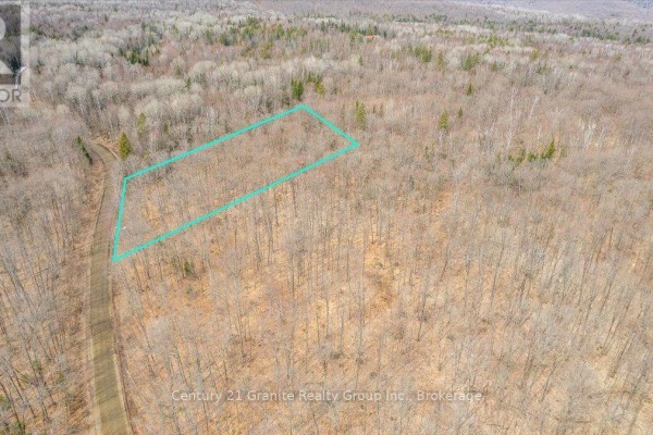 99 Forest View Road, Bancroft, ON K0L1C0 Photo 3