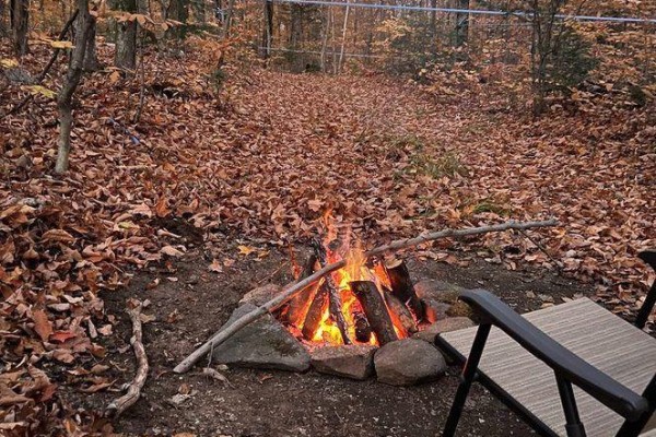 99 Forest View Road, Bancroft, ON K0L1C0 Photo 4