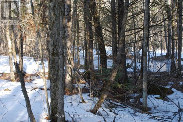 99 Future Lane, Stirling Rawdon, ON K0K2M0 Photo 2