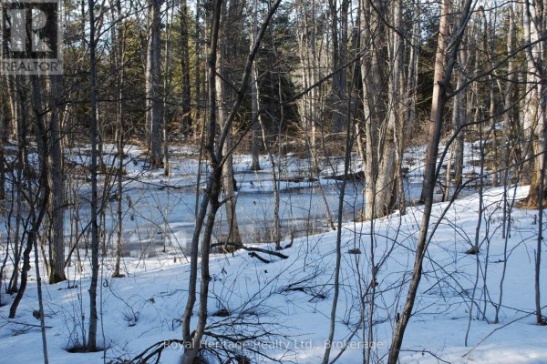 99 Future Lane, Stirling Rawdon, ON K0K2M0 Photo 3