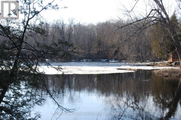 99 Future Lane, Stirling Rawdon, ON K0K2M0 Photo 4