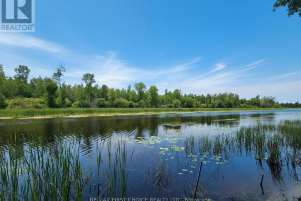 99 Kreger Rd, Lake Of The Woods, ON P0W1M0 Photo 5