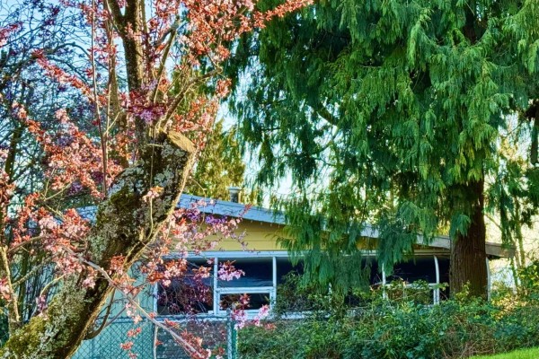 990 Balsam Street, White Rock, BC V4B4J1 Photo 4