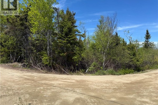 990 M2 Allée Abbé Pointe, Shippagan, NB E8T2Y1 Photo 4