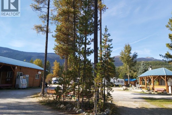 991 West Frontage Road, Blue River, BC V0E1J0 Photo 3