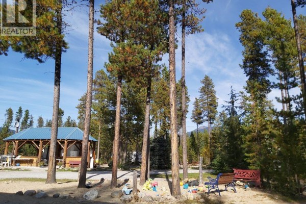 991 West Frontage Road, Blue River, BC V0E1J0 Photo 4