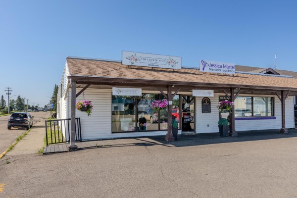 9918 104 Street, Morinville, AB T8R1R8 Photo 2