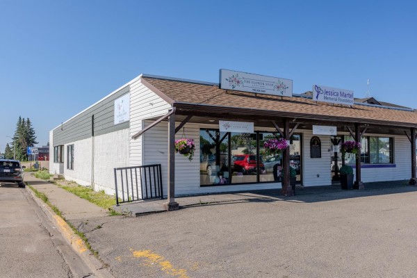 9918 104 Street, Morinville, AB T8R1R8 Photo 4