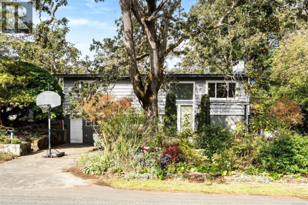 Family room - 994 Ridgeway St, Saanich, BC V8X3C4 Photo 2