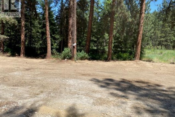 995 395 Highway, Christina Lake, BC V0H1E0 Photo 2