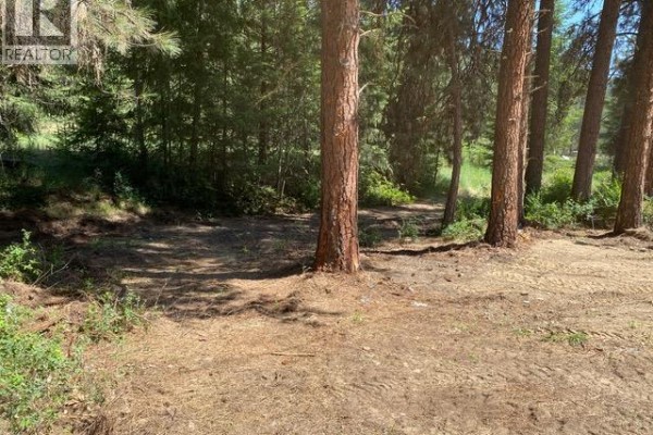 995 395 Highway, Christina Lake, BC V0H1E0 Photo 5