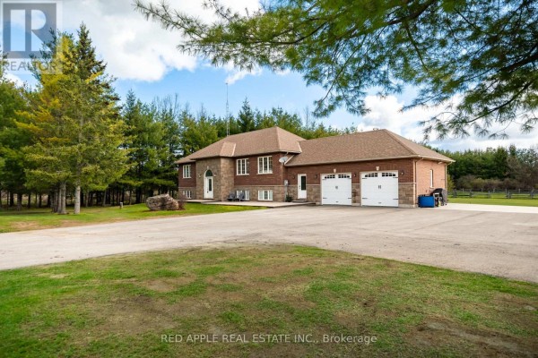 996609 Mulmur-tosorontio Townline, Adjala Tosorontio, ON, photo 3