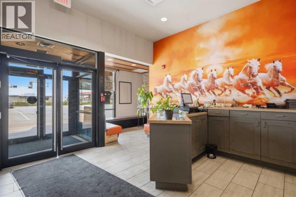 Entrance lobby with glass doors, reception counter, and wall mural of horses. - 9995 178 Street Nw, Edmonton