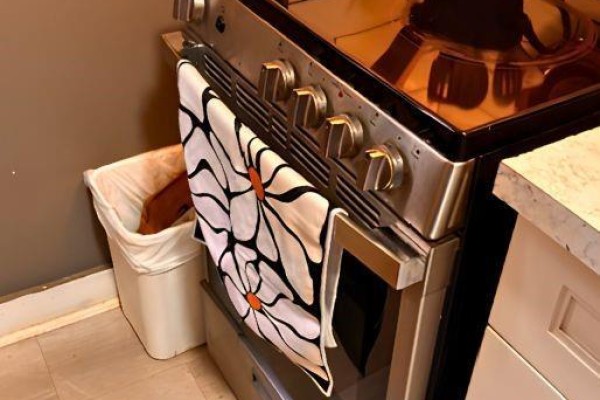 Close-up of a stainless steel stove with a decorative towel and trash can. - 9a Wentworth Street N, Hamilton