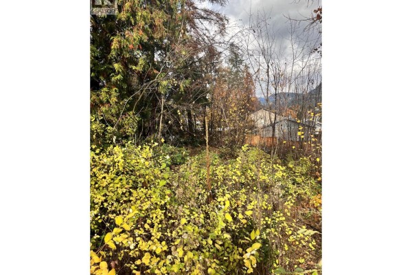 9th Avenue, Castlegar, BC V1N1K8 Photo 4
