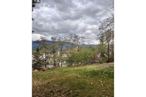 9th Avenue, Castlegar, BC V1N1K8 Photo 5