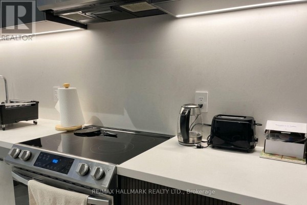 A (lower) - 125 Florence Avenue, Toronto, ON M2N1G2 Photo 4