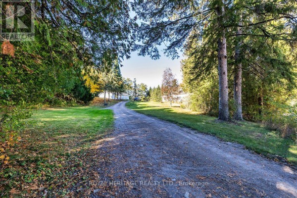A & B - 4866 Sackville Bridge Road, Hamilton Township, ON K0L1E0 Photo 4