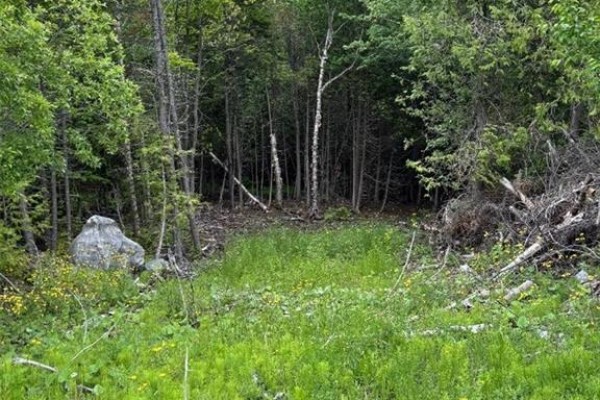 A-32 Deer Glen Drive, Saint John, NB, photo 3