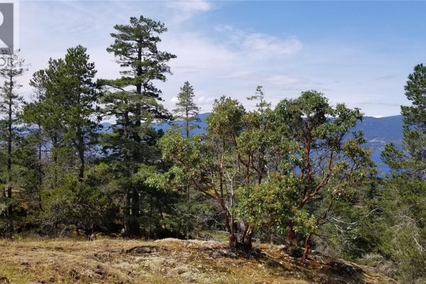 A Millicheap Rd, Lasqueti Island, BC V0R2J0 Photo 4