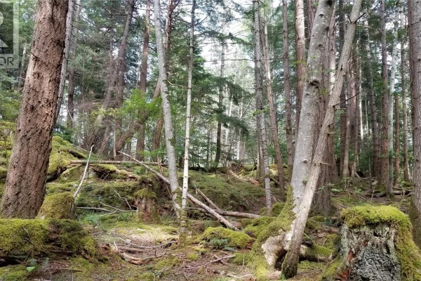 A Millicheap Rd, Lasqueti Island, BC V0R2J0 Photo 5