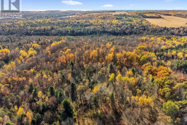 A Pipeline Road, Cramahe, ON, photo 3