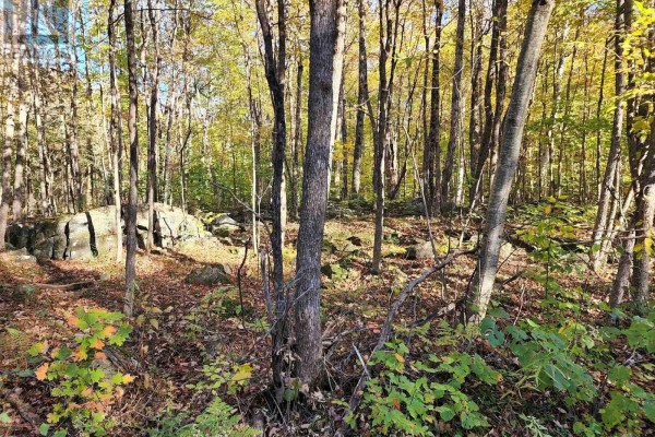 A Tally Ho Winter Park Road, Lake Of Bays, ON, photo 3