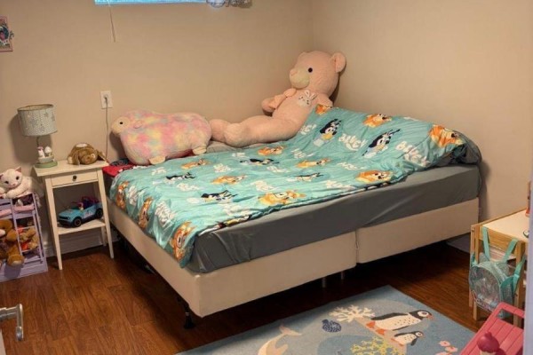 A-lower Unit - 31 Oxford Street, Richmond Hill, ON, photo 3